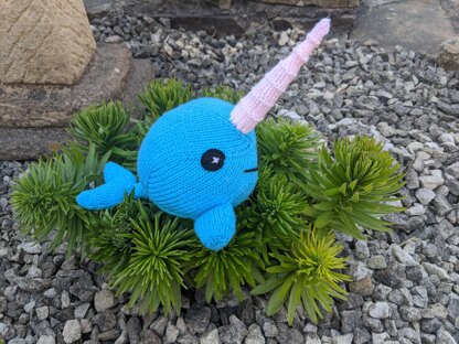Baby Narwhal - Unicorn of the Sea