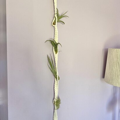 Tillandsia Garden Hanger