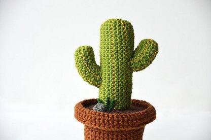 Desert Cactus Amigurumi Crochet Pattern