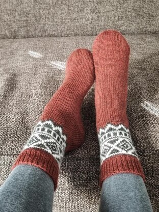 Red Panda Socks