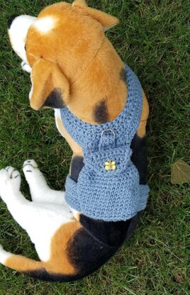 Dog Backpack and Harness