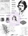Prima Marketing Finnabair Cling Stamps 6"X7.5" - Beautiful Story
