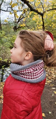 Cosy cowl / neck warmer / snood