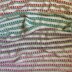 Mini Tulips in a Row Baby Blanket