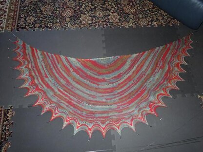 Ladawan's Shawl