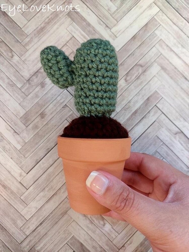 Crochet Cactus in Terra Cotta Pot