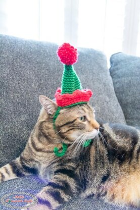 Cat's Elf Hat