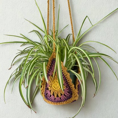 Sun Plant Hanger