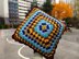 Late Fall  Cushion