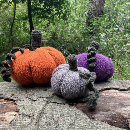 Pumpkin Patch Family [knit]