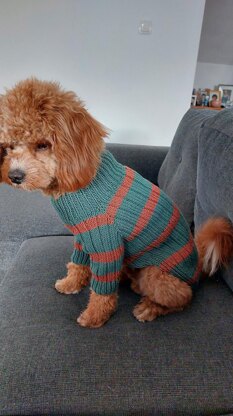 Dog Sweater Charlie No.2