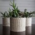 Plant Cozy : Jute