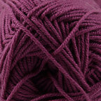 Raspberry (64)