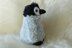 Baby Penguin Peggy