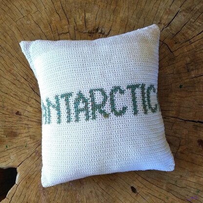 Antarctica Montessori Pillow