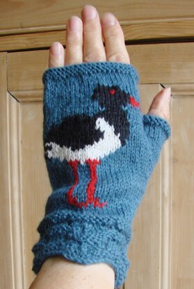 Oystercatcher fingerless mitts