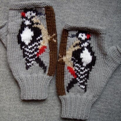 Woodpecker fingerless gloves