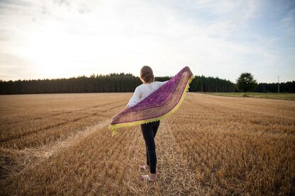 Cornfield