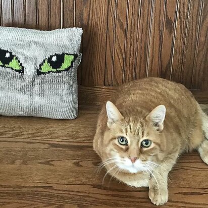 Cat Eye's Pillow