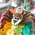 Scoot the Jumping Spider Amigurumi