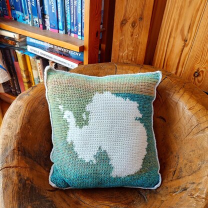 Antarctica Montessori Pillow