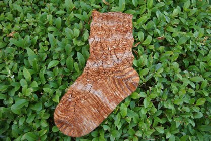 Ekollon Sock