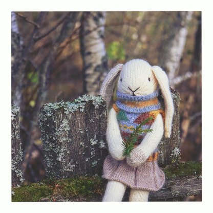 Bunny with Cozy Outfits