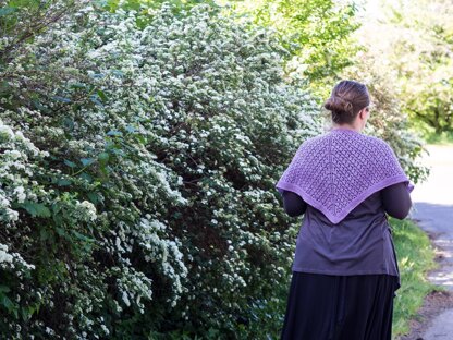 Eliza Scidmore's Shawl