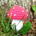 Christmas Ornament Small Mushroom