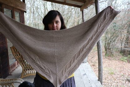 Trophy Shawl Revisited