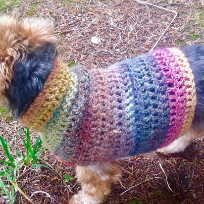 Simple Small Dog Sweater