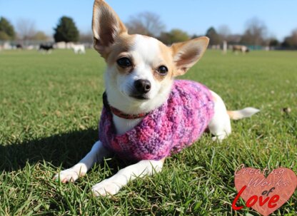 Willie's Dog Sweater