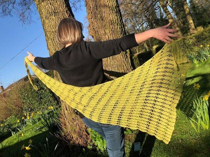 In The Willow Shade Shawl