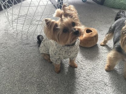 Tweed Dog Sweater