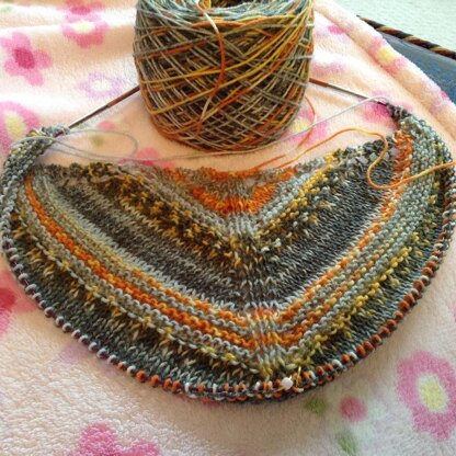 The Sock Knitter's Shawl