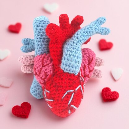 Anatomical Heart