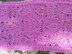 Raspberry Leaf Scarf