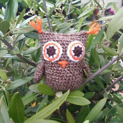 Sprout the Owl