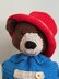 A Bear From Peru Tea Cosy