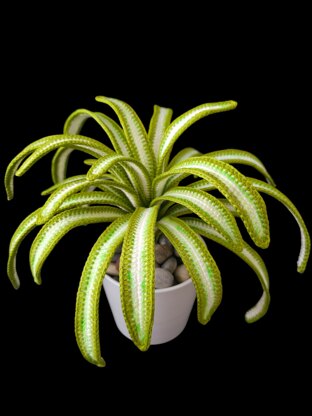 Crochet Spider plant pattern