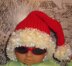 Baby Ho Ho Ho Superfast Santa Hat