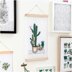 Rico Cacti Cross Stitch Wall Hanging - 20cm x 36cm