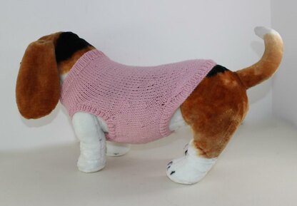 Aran Dog Coat