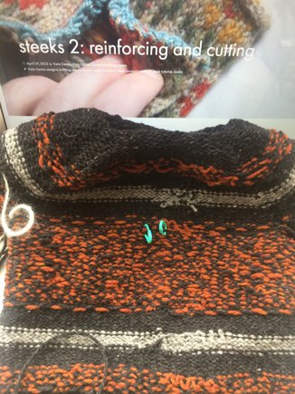 Lyall's Little Dude #2