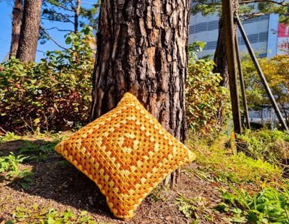 Pumpkin Spice 26 Cushion