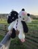 Two-headed Baphomet | Crochet Pattern | Fantasy Amigurumi Monster, Angel Demon Toy