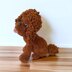 Poodle toy, teacup