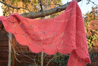 Ikaria shawlette