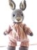Elderberry Bunny and Outfits