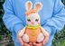 Lady Peaches the Rabbit